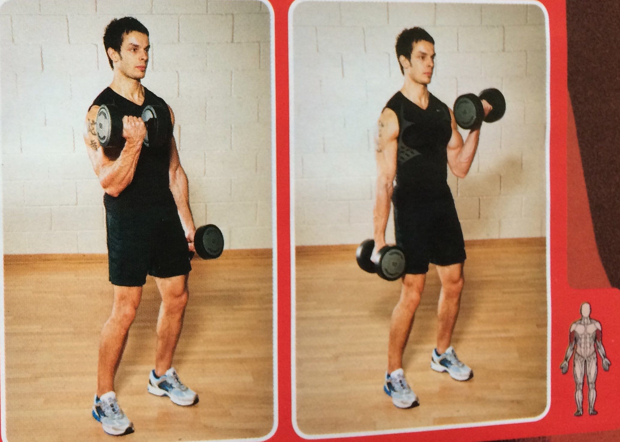 Alternating Dumb-Bell Curl