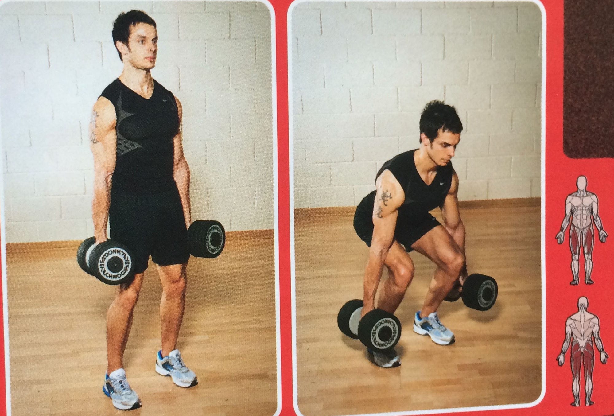Dumbbell Squat
