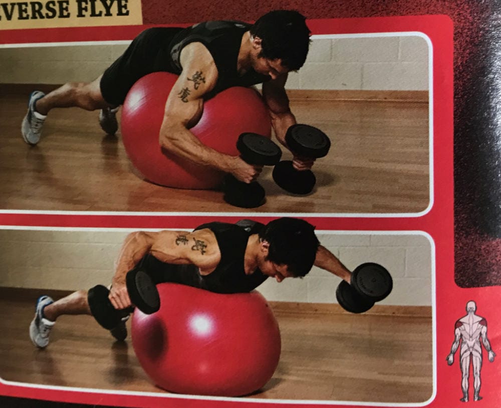 Gym Ball Reverse Flye