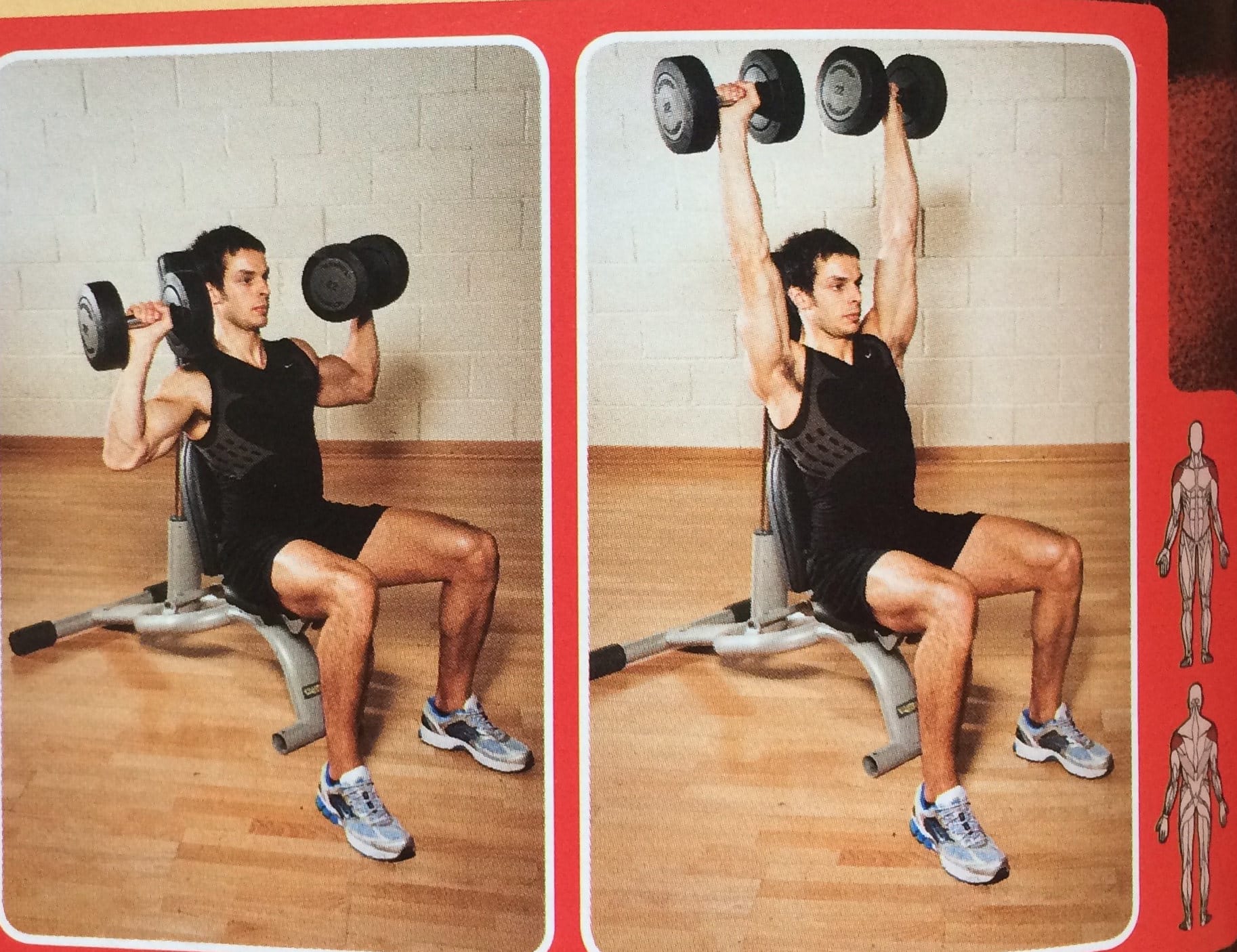 Seated Dumbbell Shoulder Press